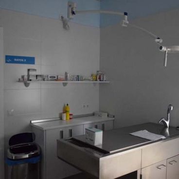 Clínica Veterinaria Campoamor mesa de revisión