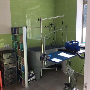 Clínica Veterinaria Campoamor zona de peluquería