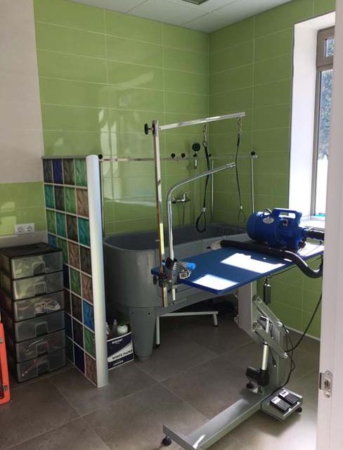 Clínica Veterinaria Campoamor zona de peluquería