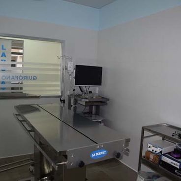 Clínica Veterinaria Campoamor mesa de diagnóstico