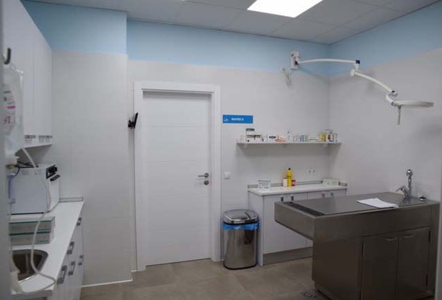 Clínica Veterinaria Campoamor interior de consultorio